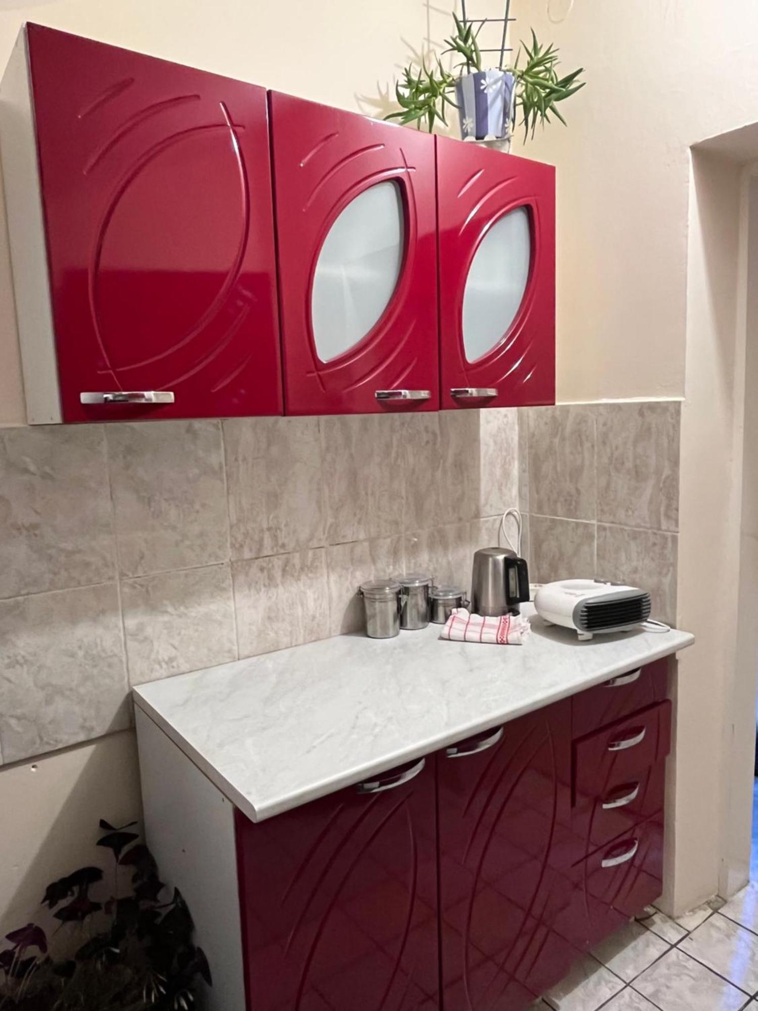 Cozy Apartment In The Center Of Novi Sad! Dış mekan fotoğraf